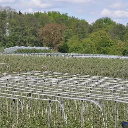 아파트 Obst- Und Fahr 프리드리히스하펜