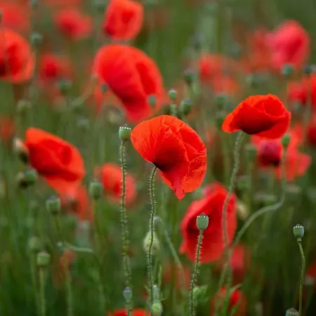 Obst- Und Fahr 아파트 프리드리히스하펜